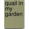 Quail in My Garden door Laura L. Root