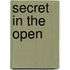 Secret in the Open