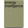 Energy Intelligence door Aleksandra Bsl Zaric
