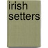 Irish Setters