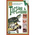 Turtles & Tortoises
