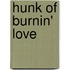 Hunk of Burnin' Love