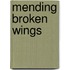 Mending Broken Wings