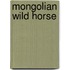 Mongolian Wild Horse
