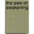The Awe of Awakening