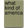 What Kind of America door Randy Spitzer