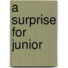 A Surprise for Junior door Jenny White