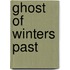Ghost of Winters Past