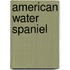 American Water Spaniel