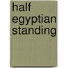 Half Egyptian Standing door Mohammed Hassan