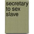 Secretary to Sex Slave