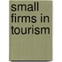 Small Firms In Tourism