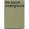The Secret Underground by Natalie Bahm