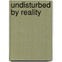 Undisturbed by Reality