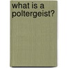What Is a Poltergeist? door Geoff Holder