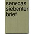 Senecas Siebenter Brief