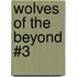 Wolves of the Beyond #3