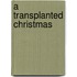 A Transplanted Christmas