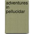 Adventures in Pellucidar