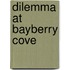 Dilemma at Bayberry Cove