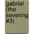 Gabriel (the Severing #3)