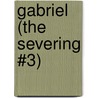 Gabriel (the Severing #3) door D.J. Manly
