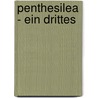 Penthesilea - Ein Drittes door Stefanie Stiemerling