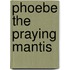 Phoebe the Praying Mantis