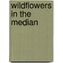 Wildflowers in the Median