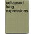 Collapsed Lung Expressions