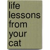 Life Lessons from Your Cat door Anthony Rubino Jr