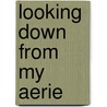 Looking Down from My Aerie by Anthony J. Beck