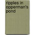 Ripples in Opperman's Pond