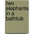Two Elephants in a Bathtub