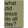 What Did Jesus Do All Day? by Felicia Silcox