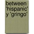 Between 'Hispanic' Y 'Gringo'