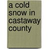 A Cold Snow in Castaway County door John Lindsey Hickman