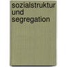 Sozialstruktur Und Segregation door Christoph Sprich
