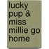 Lucky Pup & Miss Millie Go Home
