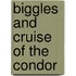 Biggles and Cruise of the Condor
