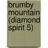 Brumby Mountain (Diamond Spirit 5)