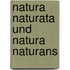 Natura Naturata Und Natura Naturans
