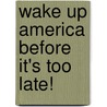 Wake Up America Before It's Too Late! by Colonel Ellis D. Bingham Usa Retired