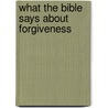 What the Bible Says About Forgiveness door Rose Publishing