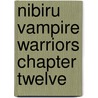 Nibiru Vampire Warriors Chapter Twelve by D.J. Manly