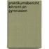 Praktikumsbericht Lehramt an Gymnasien