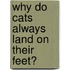 Why Do Cats Always Land on Their Feet?