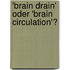 'Brain Drain' Oder 'Brain Circulation'?