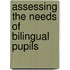 Assessing the Needs of Bilingual Pupils