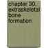 Chapter 30, Extraskeletal Bone Formation